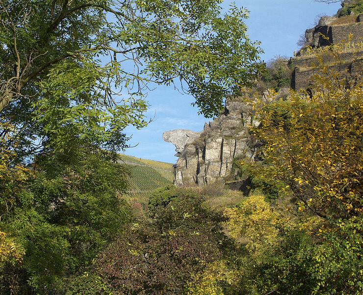 Aussichtspavillon, Ahrtal, Bunte Kuh, Panoramablick, Walporzheim, Rotweinwanderweg