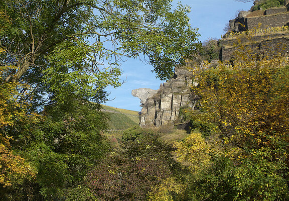 Aussichtspavillon, Ahrtal, Bunte Kuh, Panoramablick, Walporzheim, Rotweinwanderweg