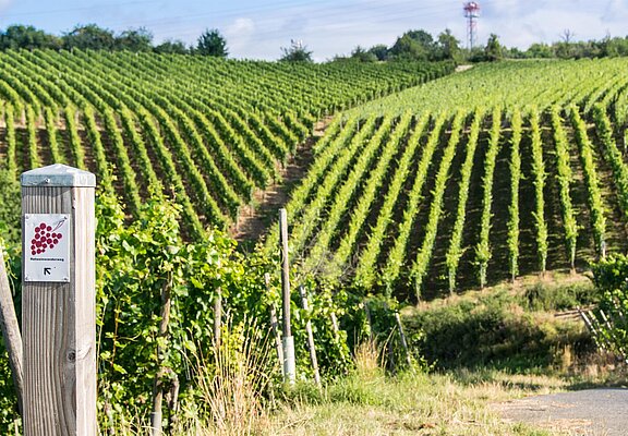 Natur und Stadt