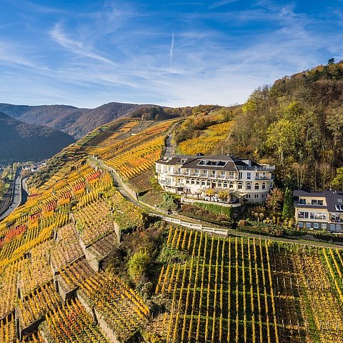 Ansicht des Hotel Hohenzollern in den Weinbergen oberhalb von Ahrweiler