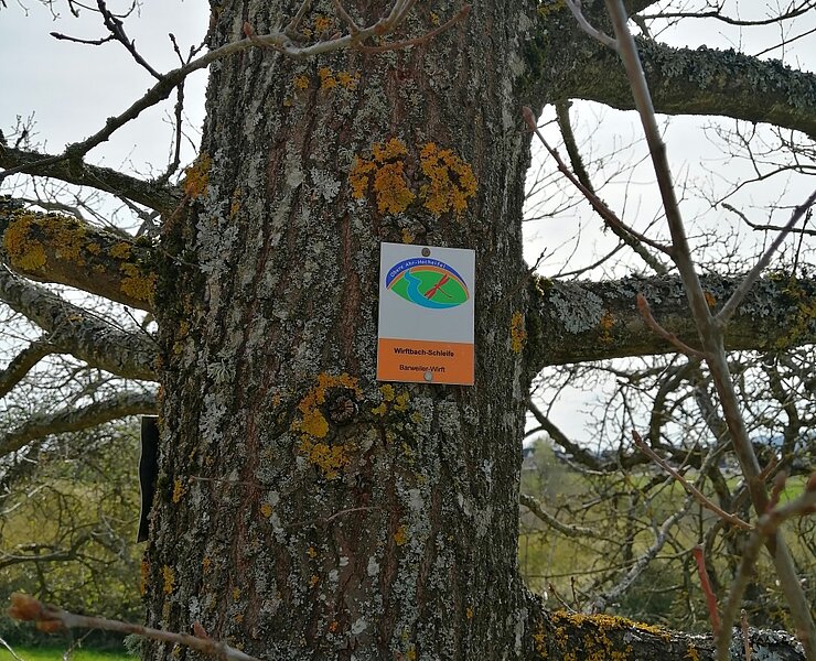 Unterwegs auf der Wirftbach-Schleife