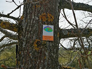 Unterwegs auf der Wirftbach-Schleife