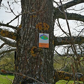 Unterwegs auf der Wirftbach-Schleife