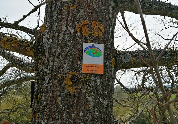 Unterwegs auf der Wirftbach-Schleife