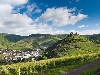 "Blick auf die Saffenburg"