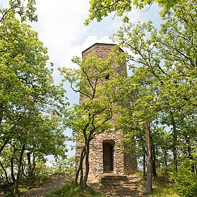 Krausberg, Ahrtal, Wandern, Dernau