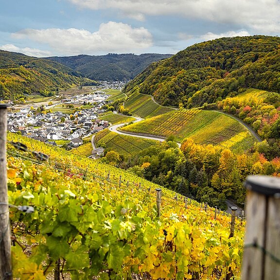 Blick Richtung Dernau