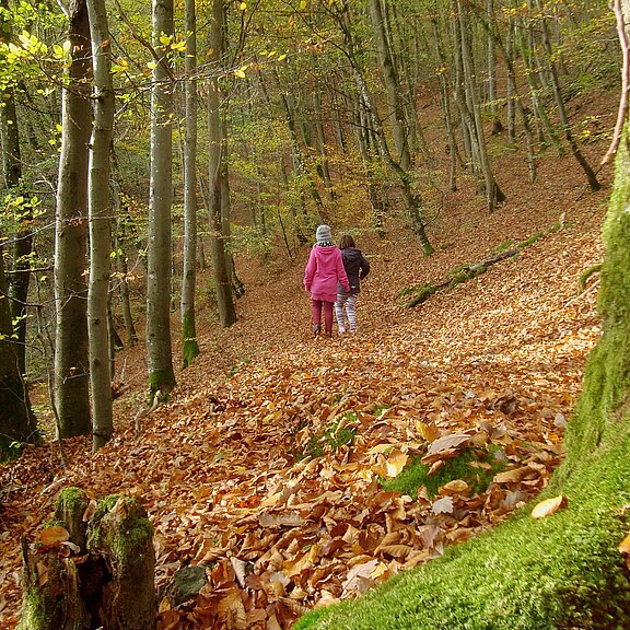 Waldspaziergang