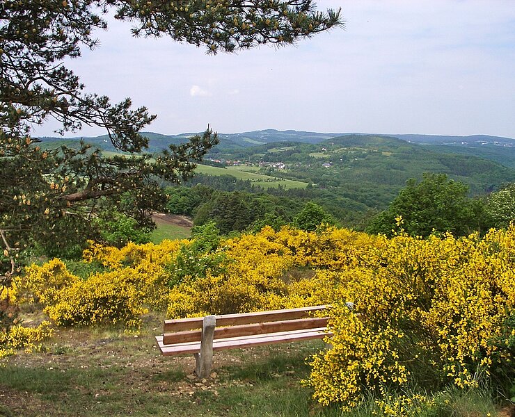 Unterwegs auf den Ahrhöhen