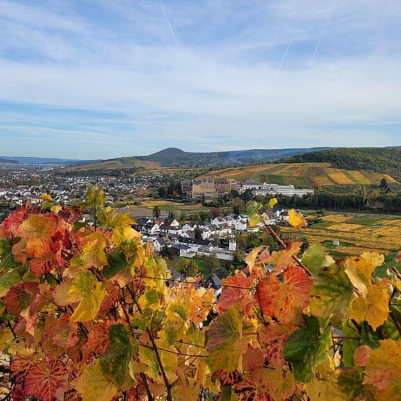 Blick auf den Calvarienberg und Ahrweiler