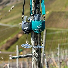 Wineholder 2026 -Weinfrühling Mittelahr