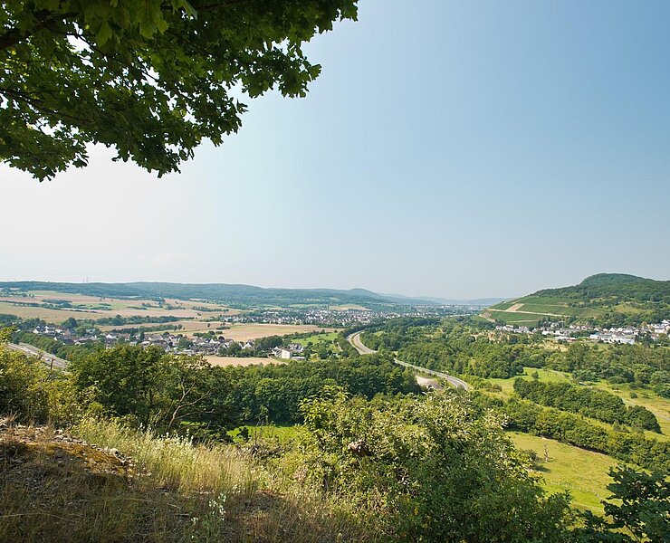 Blick von der Ehlinger Ley