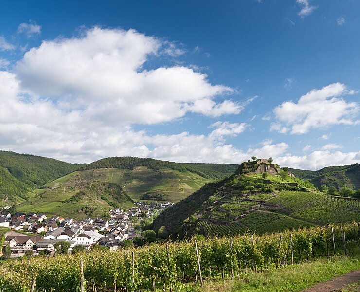 Blick auf die Saffenburg