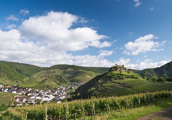 Blick auf die Saffenburg