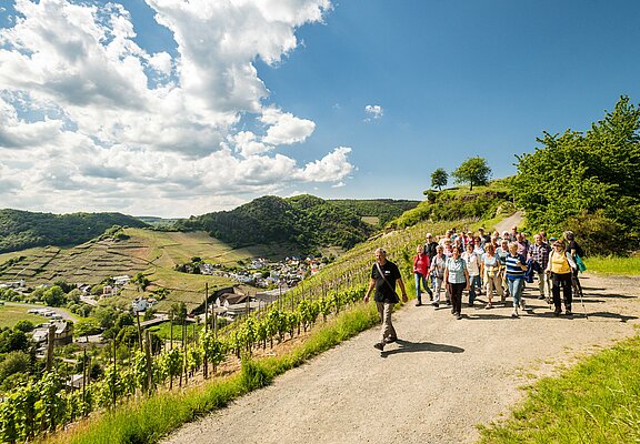 Geführte Terrainwanderung