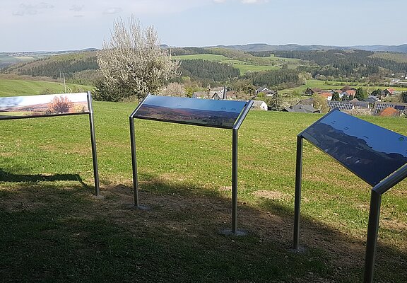 Panoramatafeln Kottenborner Schweiz