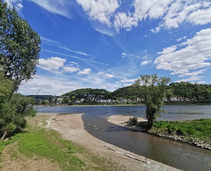 Bei Sinzig: Die Mündung der Ahr in den Rhein