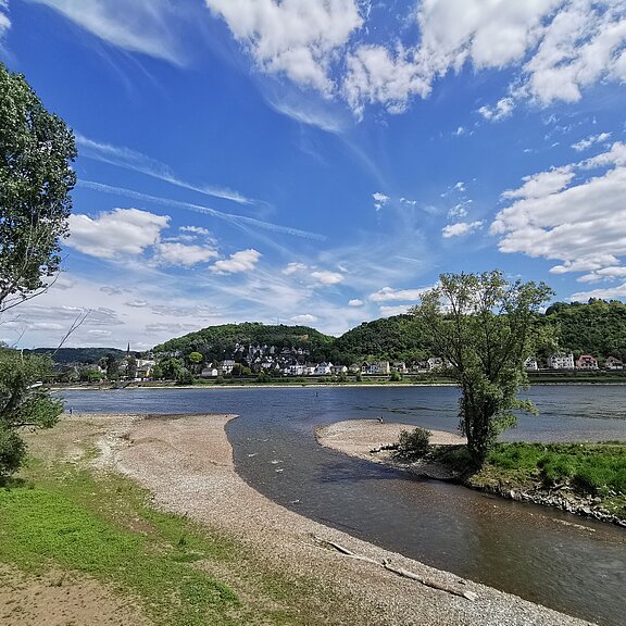 Bei Sinzig: Die Mündung der Ahr in den Rhein