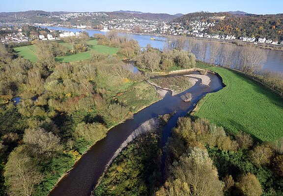 Ahrmündung mit Blick auf Linz