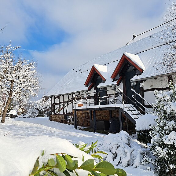 Winter im wunderschönen Garten