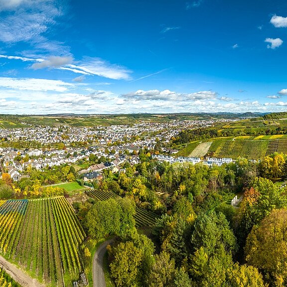 Alte Ziegelei und Ahrweiler Bergfriedhof