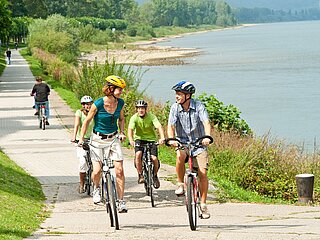 Rheinradweg bei Bad Breisig