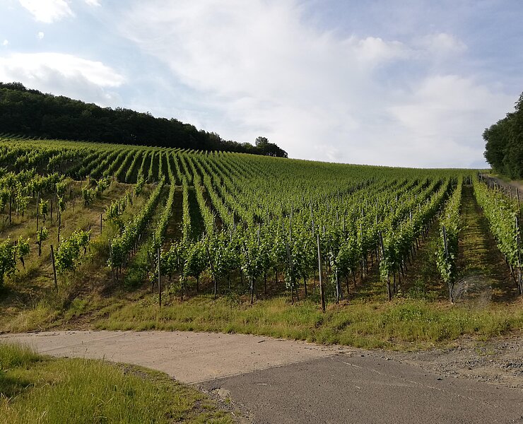 Umgebung