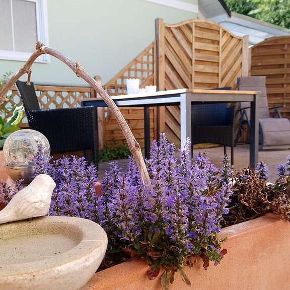 Ferienwohnung Harmonie Sonnenterrasse