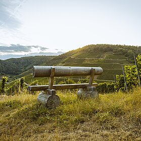 In den Weinbergen