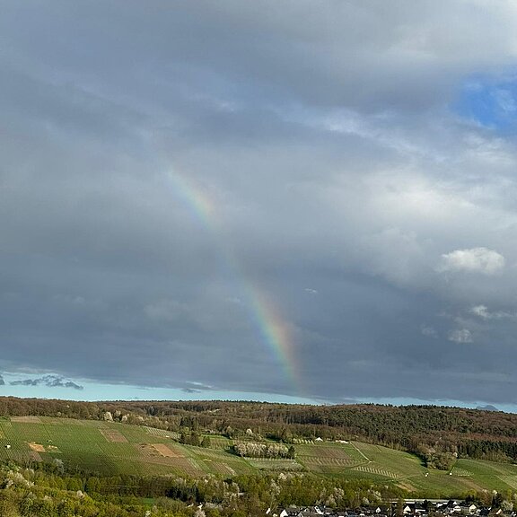 Sei live dabei beim Naturschauspiel