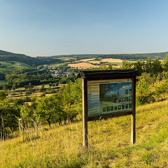 Ausblick bei Lohrsdorf