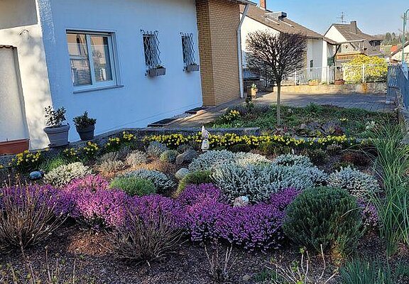 Vorgarten im Frühling