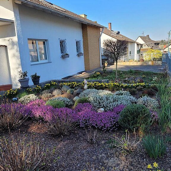Vorgarten im Frühling