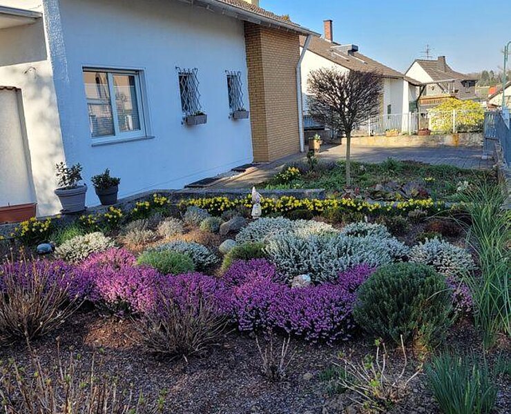 Vorgarten im Frühling