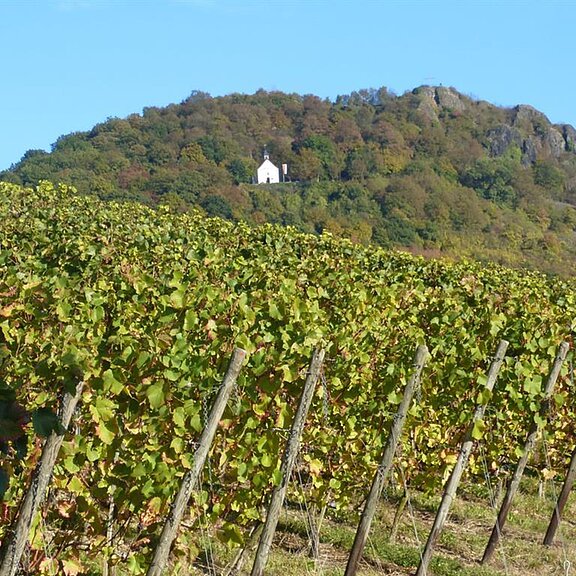 Landskrone__mit_der_Marien-Kapelle