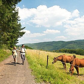 Dümeplhardt