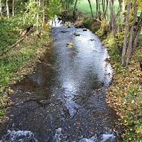 Flusslauf Ahr