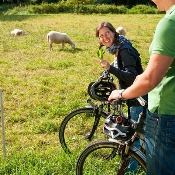 Unterwegs auf dem Ahr-Radweg bei Liers