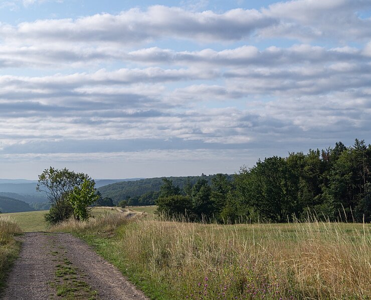Blick über die Naturlandschaft