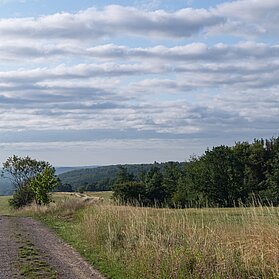 Blick über die Naturlandschaft