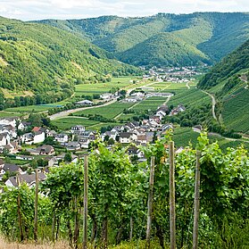 Blick auf Dernau