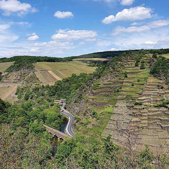Katzley, Ahrtal, Wandern, AhrSteig, Ahr, Walporzheim