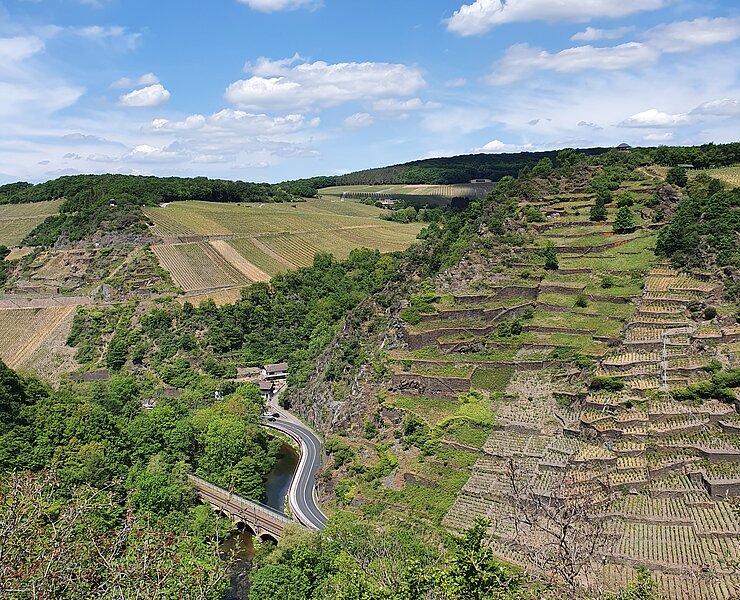 Katzley, Ahrtal, Wandern, AhrSteig, Ahr, Walporzheim