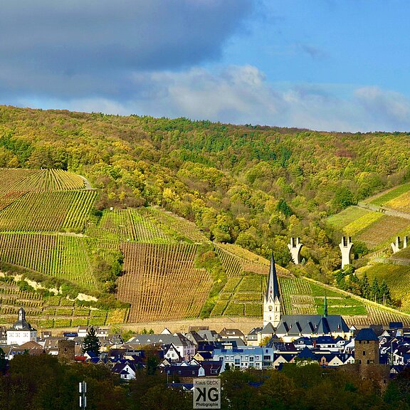 Blick über AHRweiler