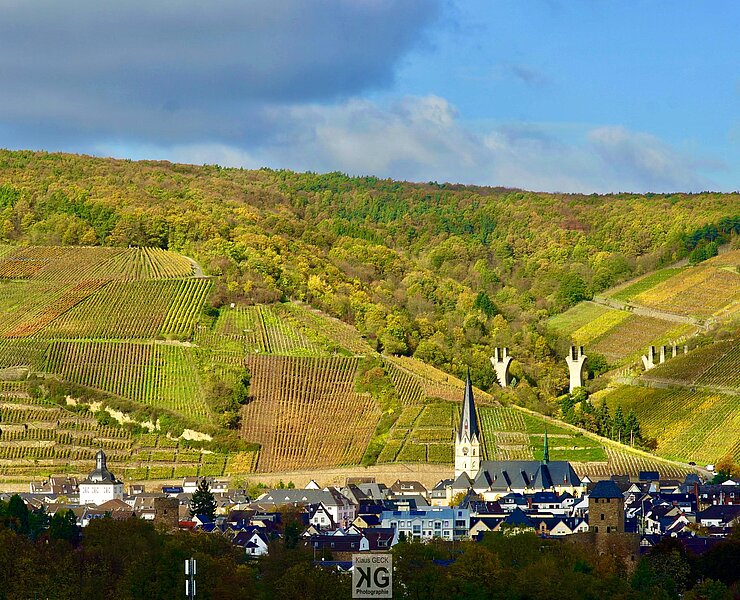 Blick über AHRweiler