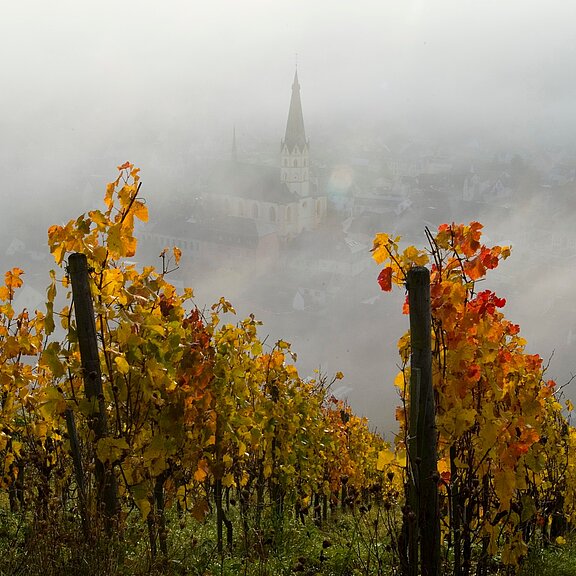 gefärbtes Laub an der Ahr