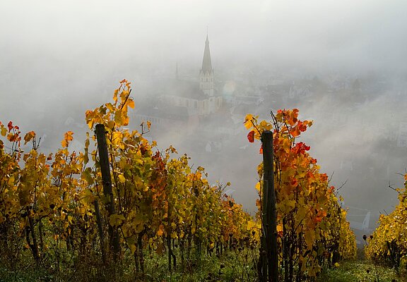 gefärbtes Laub an der Ahr