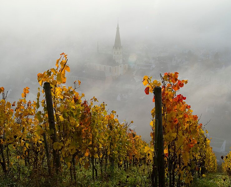 gefärbtes Laub an der Ahr