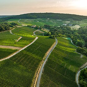 Blick auf den Rotweinwanderweg