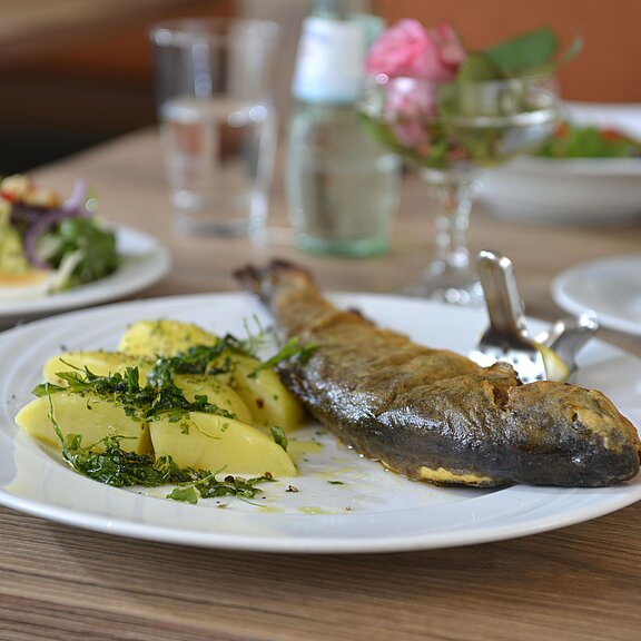Forelle mit Dampfkartoffeln